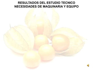 RESULTADOS DEL ESTUDIO TECNICO
NECESIDADES DE MAQUINARIA Y EQUIPO
 