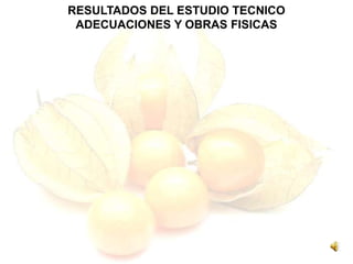 RESULTADOS DEL ESTUDIO TECNICO
ADECUACIONES Y OBRAS FISICAS
 