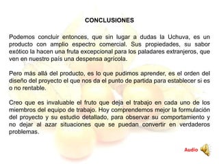 CONCLUSIONES
Podemos concluir entonces, que sin lugar a dudas la Uchuva, es un
producto con amplio espectro comercial. Sus propiedades, su sabor
exótico la hacen una fruta excepcional para los paladares extranjeros, que
ven en nuestro país una despensa agrícola.
Pero más allá del producto, es lo que pudimos aprender, es el orden del
diseño del proyecto el que nos da el punto de partida para establecer si es
o no rentable.
Creo que es invaluable el fruto que deja el trabajo en cada uno de los
miembros del equipo de trabajo. Hoy comprendemos mejor la formulación
del proyecto y su estudio detallado, para observar su comportamiento y
no dejar al azar situaciones que se puedan convertir en verdaderos
problemas.
Audio
 