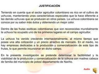 Audio
JUSTIFICACIÓN
Teniendo en cuenta que el sector agricultor colombiano es rico en el cultivo de
uchuvas, manteniendo unas características especiales que la hace diferente a
las demás uchuvas que se producen en otros países. La uchuva colombiana se
conoce por su sabor más dulce y obteniendo un mejor color.
Dentro de las frutas exóticas colombianas que son reconocidas mundialmente
la uchuva ha ocupado uno de los primeros lugares en el campo agricultor.
La uchuva ha venido creciendo internacionalmente, al mismo tiempo que
posee una alta cotización y un precio atractivo de mercado. En el medio, no
hay empresas dedicadas a la producción y comercialización de este tipo de
frutas, lo que permite incursionar en dicho campo.
En la presente investigación se pretende determinar la factibilidad y la
viabilidad de la producción y comercialización de la uchuva con madres cabeza
de familia del municipio de potosí departamento de Nariño.
 