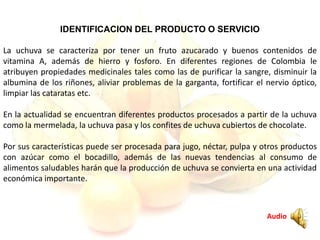 IDENTIFICACION DEL PRODUCTO O SERVICIO
La uchuva se caracteriza por tener un fruto azucarado y buenos contenidos de
vitamina A, además de hierro y fosforo. En diferentes regiones de Colombia le
atribuyen propiedades medicinales tales como las de purificar la sangre, disminuir la
albumina de los riñones, aliviar problemas de la garganta, fortificar el nervio óptico,
limpiar las cataratas etc.
En la actualidad se encuentran diferentes productos procesados a partir de la uchuva
como la mermelada, la uchuva pasa y los confites de uchuva cubiertos de chocolate.
Por sus características puede ser procesada para jugo, néctar, pulpa y otros productos
con azúcar como el bocadillo, además de las nuevas tendencias al consumo de
alimentos saludables harán que la producción de uchuva se convierta en una actividad
económica importante.
Audio
 