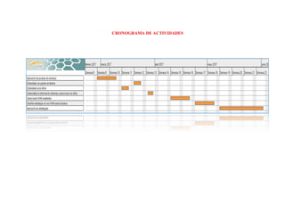 CRONOGRAMA DE ACTIVIDADES
 