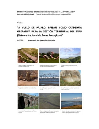 A vuelo de pájaro. Paisaje como categoría operativa para la gestión territorial del SNAP.
Maestranda Arq.Silvana Gordano 0
TRABAJO FINAL CURSO “EPISTEMOLOGÍA Y METODOLOGÍA DE LA INVESTIGACIÓN”
MOTDU – FADU/UdelaR | Curso 2°semestre 2015 | Entregado: mayo de 2016
TÍTULO:
“A VUELO DE PÁJARO. PAISAJE COMO CATEGORÍA
OPERATIVA PARA LA GESTIÓN TERRITORIAL DEL SNAP
(Sistema Nacional de Áreas Protegidas)”
AUTORA: Maestranda Arq.Silvana Gordano Peile
 