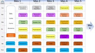 Lun
Mar
Miér
Jue
Vier
Sáb
Dom
Musculación
Isométrica
Pasadas
Cortas
Propiocepción
Coordinación
+ Pliometría
Descanso 
Fondo
Mes 1 Mes 2
Descanso 
Técnica de
Carrera
Propiocepción
Pasadas 1 km
Coordinación
+ Pliometría
Fondo
Coordinación
+ Pliometría
Descanso 
Fondo
Fuerza
Específica
Técnica de
Carrera
Pasadas
Pirámide
Mes 3
Escaleras +
Rampas
Propiocepción
Coordinación
+ Pliometría
Pasadas
Largas
Técnica de
Carrera
Descanso 
Fondo con
Cuestas
Mes 4
Escaleras +
Rampas
Propiocepción
Coordinación
+ Pliometría
Pasadas
Largas
Técnica de
Carrera
Descanso 
Fondo con
cuestas
Mes 5
Sem 1 Sem 2 a 4 Sem 1 a 4 Sem 1 a 4 Sem 1 a 4 Sem 1 a 4
Mes
6
Descanso 
Fuerza
Específica
Técnica de
Carrera
Propiocepción
Tests:
-Cardio
-Fuerza
-Resistencia
Descanso 
Análisis de
Resultados
 