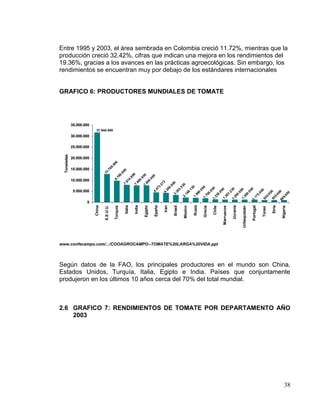 Entre 1995 y 2003, el área sembrada en Colombia creció 11.72%, mientras que la
producción creció 32.42%, cifras que indican una mejora en los rendimientos del
19.36%, gracias a los avances en las prácticas agroecológicas. Sin embargo, los
rendimientos se encuentran muy por debajo de los estándares internacionales


GRAFICO 6: PRODUCTORES MUNDIALES DE TOMATE




              35.000.000
                            31.644.040
              30.000.000

              25.000.000
  Toneladas




              20.000.000
                                                           00
                                                         .0
                                                       66




              15.000.000
                                                     .7



                                                     0
                                                  00
                                                  12



                                               0.



                                                9


                                               0
                                             89




                                              0
                                             70




                                            00

                                           00
                                          4.
                                          9.




                                         0.




              10.000.000
                                        0.
                                       81


                                       60

                                      60




                                                                                                         3


                                                                                                        0
                                    7.




                                                                                                      57
                                    7.




                                                                                                     00
                                   7.




                                                                                                      0
                                                                                                  53
                                                                                                   3.


                                                                                                  0.




                                                                                                   0


                                                                                                   0
                                                                                                47




                                                                                                13




                                                                                                 0
                                                                                               00
                                                                                                3.
                                                                                               20




                                                                                                0




                                                                                                0
                                                                                                0
                                                                                              00




                                                                                                0
               5.000.000




                                                                                               0
                                                                                             23




                                                                                             00
                                                                                            00
                                                                                             30
                                                                                             4.




                                                                                            00
                                                                                             8.


                                                                                             0.




                                                                                           00
                                                                                            4.




                                                                                   92 0

                                                                                             0
                                                                                           0.




                                                                                           0
                                                                                         00

                                                                                         00
                                                                                          1.




                                                                                          0.
                                                                                         14




                                                                                          0.
                                                                                         98
                                                                                          3.




                                                                                         0.




                                                                                        00
                                                                                        5.
                                                                                       70




                                                                                      20




                                                                                      20
                                                                                      23




                                                                                       0.

                                                                                       0.
                                                                                      20
                                                                                      2.


                                                                                      1.




                                                                                     17




                                                                                     9.
                                                                                    1.




                                                                                   92
                                                                                   1.




                                                                                   1.
                                                                                   1.




                                                                                   1.




                                                                                  88
                                                                                  1.
                      0
                                                        Italia

                                                                 India
                           China




                                                                                  Epaña




                                                                                                                                                                                                   Siria
                                                                                                                   Rusia




                                                                                                                                                        Ucrania
                                                                         Egipto




                                                                                          Iran

                                                                                                 Brasil
                                   E.E.U.U.




                                                                                                                                                                                Portugal
                                                                                                                                    Chile
                                              Turquía




                                                                                                                           Grecia




                                                                                                                                                                                                           Nigeria
                                                                                                                                            Marruecos
                                                                                                          Mexico




                                                                                                                                                                  Urbequistán




                                                                                                                                                                                           Túnez
www.confecampo.com/.../COOAGROCAMPO--TOMATE%20LARGA%20VIDA.ppt




Según datos de la FAO, los principales productores en el mundo son China,
Estados Unidos, Turquía, Italia, Egipto e India. Países que conjuntamente
produjeron en los últimos 10 años cerca del 70% del total mundial.



2.6 GRAFICO 7: RENDIMIENTOS DE TOMATE POR DEPARTAMENTO AÑO
    2003




                                                                                                                                                                                                              38
 