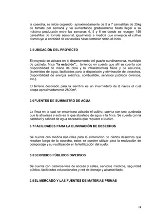 la cosecha, se inicia cogiendo aproximadamente de 5 a 7 canastillas de 25kg
de tomate por semana y va aumentando gradualmente hasta llegar a su
máxima producción entre las semanas 4, 5 y 6 en donde se recogen 150
canastillas de tomate semanal, igualmente a medida que envejece el cultivo
disminuye la cantidad de canastillas hasta terminar como al inicio.


3.5 UBICACIÓN DEL PROYECTO


El proyecto se ubicara en el departamento del guavio-cundinamarca, municipio
de gacheta, finca “la estación”., teniendo en cuenta que allí se cuenta con
disponibilidad de mano de obra y la infraestructura física y de recursos,
(suministro de agua, facilidades para la disposición y eliminación de desechos,
disponibilidad de energía eléctrica, combustible, servicios públicos diversos,
etc.).

El terreno destinado para la siembra es un invernadero de 8 naves el cual
ocupa aproximadamente 2500m².


3.6 FUENTES DE SUMINISTRO DE AGUA


La finca en la cual se encontrara ubicado el cultivo, cuenta con una quebrada
que la atraviesa y esta es la que abastece de agua a la finca. Se cuenta con la
cantidad y calidad de agua necesaria que requiere el cultivo.

3.7 FACILIDADES PARA LA ELIMINACIÓN DE DESECHOS


Se cuenta con medios naturales para la eliminación de ciertos desechos que
resultan luego de la cosecha, estos se pueden utilizar para la realización de
compostaje y su reutilización en la fertilización del suelo.


3.8 SERVICIOS PÚBLICOS DIVERSOS


Se cuenta con caminos-vías de acceso y calles, servicios médicos, seguridad
pública, facilidades educacionales y red de drenaje y alcantarillado.


3.9 EL MERCADO Y LAS FUENTES DE MATERIAS PRIMAS




                                                                            74
 