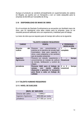 Aunque el producto se venderá principalmente en supermercados de cadena
en Bogota, se cuenta con un transporte y con un costo asequible para la
empresa de $2.000 por Canastilla de 25 kg.


3.10 DISPONIBILIDAD DE MANO DE OBRA


En el municipio de Gacheta Cundinamarca se encuentra con facilidad mano de
obra, que no representa unos altos costos para la empresa, pues no se
necesita personal calificado sino con experiencia y habilidad para el trabajo.

La mano de obra que se requiere para el manejo del cultivo es la siguiente:


                      TALENTO HUMANO REQUERIDO
     CARGO                     PERFIL                      # PERSONAS –
                                                            DEDICACIÓN
Director       del Persona     con    conocimientos    y 1   -     tiempo
cultivo            práctica en la siembra de tomate bajo completo
                   invernadero. Apta para capacitar a
                   otros y para adaptarse a los cambios
                   que se puedan presentar.
Ingeniero          Persona con estudio, experiencia y 1        –   tiempo
Agrónomo           conocimientos en manejo de cultivos Ocasional
                   de tomate, fertilización y control de
                   plagas.
jornaleros         Persona hábil para el trabajo de 2 o 3 – tiempo
                   campo,      con     mente    abierta, ocasional
                   dispuesta a aprender lo necesario
                   para llevar a cabo un trabajo de
                   calidad.



3.11 TALENTO HUMANO REQUERIDO

3.11.1 NIVEL DE SUELDOS




                                                                              75
 