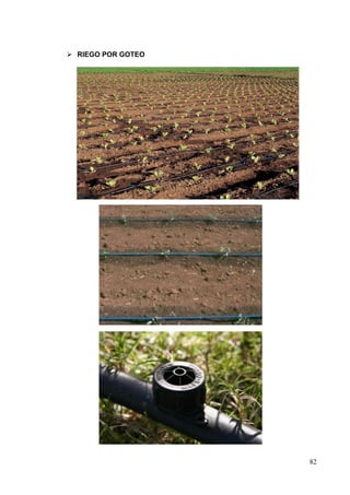 RIEGO POR GOTEO




                    82
 