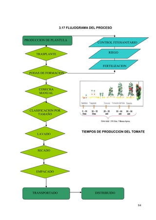 3.17 FLUJOGRAMA DEL PROCESO


PRODUCCION DE PLANTULA
                                      CONTROL FITOSANITARIO


                                            RIEGO
      TRASPLANTE


                                         FERTILIZACION

  PODAS DE FORMACION




       COSECHA
       MANUAL




  CLASIFICACION POR
      TAMAÑO




                              TIEMPOS DE PRODUCCION DEL TOMATE
      LAVADO




      SECADO




      EMPACADO




    TRANSPORTADO                     DISTRIBUIDO


                                                              84
 