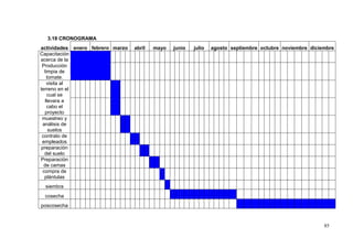 3.18 CRONOGRAMA
actividades enero febrero marzo   abril   mayo   junio   julio   agosto septiembre octubre noviembre diciembre
Capacitación
acerca de la
 Producción
   limpia de
     tomate.
     visita al
terreno en el
     cual se
    llevara a
     cabo el
   proyecto
 muestreo y
  análisis de
      suelos
 contrato de
 empleados
 preparación
   del suelo
Preparación
  de camas
  compra de
   plántulas
 siembra
 cosecha
poscosecha


                                                                                                          85
 