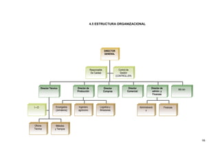 4.5 ESTRUCTURA ORGANIZACIONAL




                                                               DIRECTOR
                                                               GENERAL




                                                 Responsable                Control de
                                                  De Calidad                 Gestión
                                                                          (CONTROLLER)



      Director Técnico             Director de                 Director            Director              Director de
                                                                                                                                  RR HH
                                   Producción                  Compras            Comercial               admón. y
                                                                                                          Finanzas




I+D                 Encargados      Ingeniero             Logística y                         Administració            Finanzas
                    (Jornaleros)    agrónomo              Almacenes                                n




Oficina             Métodos
Técnica            y Tiempos



                                                                                                                                          98
 