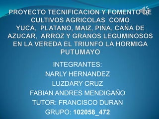 INTEGRANTES:
    NARLY HERNANDEZ
      LUZDARY CRUZ
FABIAN ANDRES MENDIGAÑO
 TUTOR: FRANCISCO DURAN
    GRUPO: 102058_472
 