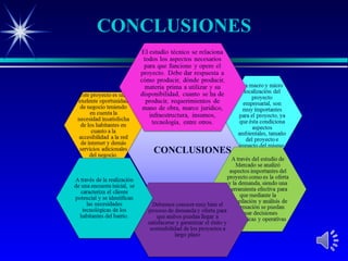 CONCLUSIONES
 