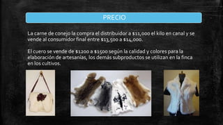 PRECIO
La carne de conejo la compra el distribuidor a $11,000 el kilo en canal y se
vende al consumidor final entre $13,500 a $14,000.
El cuero se vende de $1200 a $1500 según la calidad y colores para la
elaboración de artesanías, los demás subproductos se utilizan en la finca
en los cultivos.

 