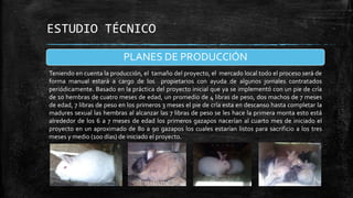 ESTUDIO TÉCNICO
PLANES DE PRODUCCIÓN
Teniendo en cuenta la producción, el tamaño del proyecto, el mercado local todo el proceso será de
forma manual estará a cargo de los propietarios con ayuda de algunos jornales contratados
periódicamente. Basado en la práctica del proyecto inicial que ya se implementó con un pie de cría
de 10 hembras de cuatro meses de edad, un promedio de 4 libras de peso, dos machos de 7 meses
de edad, 7 libras de peso en los primeros 3 meses el pie de cría esta en descanso hasta completar la
madures sexual las hembras al alcanzar las 7 libras de peso se les hace la primera monta esto está
alrededor de los 6 a 7 meses de edad los primeros gazapos nacerían al cuarto mes de iniciado el
proyecto en un aproximado de 80 a 90 gazapos los cuales estarían listos para sacrificio a los tres
meses y medio (100 días) de iniciado el proyecto.

 