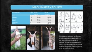 MAQUINARIA Y EQUIPO
DESCRIPCION
mesa
cuchillos
canecas
baldes
canastillas
TOTAL

CAN VALOR
.
UNIT.($)
1
100.000
4
50.000
4
40.000
6
10.000
4
15.000

VALOR
TOTAL ($)
100.000
200.000
160.000
60.000
60.000
580.000

En este proyecto no tendremos
ningún gasto en maquinaria ya
que todo el poseso se hace
manual, desde la monta asta el
sacrificio y la comercialización se
hace en trasporte publico ya que
no es mucho volumen.

 