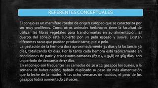 REFERENTES CONCEPTUALES
El conejo es un mamífero roedor de origen europeo que se caracteriza por
ser muy prolíferos. Como otros animales herbívoros tiene la facultad de
utilizar las fibras vegetales para transformarlas en su alimentación. El
cuerpo del conejo está cubierto por un pelo espeso y suave. Existen
diferentes razas que pueden producir carne, piel o pelo.
La gestación de la hembra dura aproximadamente 31 días y la lactancia 56
días, totalizando 87 días. Por lo tanto cada hembra está teóricamente en
condiciones de parir y criar cuatro camadas (87 x 4 = 348) en 365 días, con
un período de descanso de 17 días.
En el conejo son frecuentes las camadas de 10 a 12 gazapos los cuales, a la
semana de haber nacido, habrán duplicado su peso sin más alimentación
que la leche de la madre. A las ocho semanas de nacidos, el peso de los
gazapos habrá aumentado 28 veces.

 