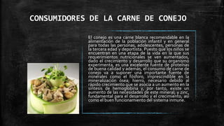 CONSUMIDORES DE LA CARNE DE CONEJO
El conejo es una carne blanca recomendable en la
alimentación de la población infantil y en general
para todas las personas, adolescentes, personas de
la tercera edad y deportista. Puesto que los niños se
encuentran en una etapa de la vida en la que sus
requerimientos nutricionales se ven aumentados,
dado el crecimiento y desarrollo que su organismo
experimenta, es una excelente fuente de proteínas
de buena calidad y además, el consumo de carne de
conejo va a suponer una importante fuente de
minerales como el fósforo, imprescindible en la
mineralización ósea; hierro, necesario debido al
rápido crecimiento que se asocia a un aumento en la
síntesis de hemoglobina y, por tanto, existe un
aumento de las necesidades de este mineral; y zinc,
fundamental para el desarrollo y el crecimiento, así
como el buen funcionamiento del sistema inmune.

 