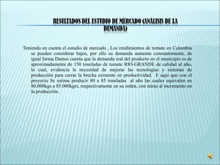 Teniendo en cuenta el estudio de mercado , Los rendimientos de tomate en Colombia
se pueden considerar bajos, por ello su demanda aumenta constantemente, de
igual forma Damos cuenta que la demanda real del producto en el municipio es de
aproximadamente de 150 toneladas de tomate RIO-GRANDE de calidad al año,
lo cual, evidencia la necesidad de mejorar las tecnologías y sistemas de
producción para cerrar la brecha existente en productividad. E aquí que con el
proyecto Se estima producir 80 a 85 toneladas al año las cuales equivalen en
80.000kgs a 85.000kgrs, respectivamente en su orden, con miras al incremento en
la producción .
 