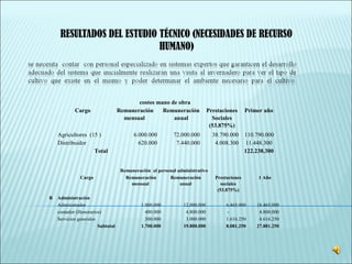 RESULTADOS DEL ESTUDIO TÉCNICO (NECESIDADES DE RECURSO
HUMANO)
Remuneración al personal administrativo
Cargo Remuneración
mensual
Remuneración
anual
Prestaciones
sociales
(53.875%)
1 Año
B Administración
Administrador 1.000.000 12.000.000 6.465.000 18.465.000
contador (Honorarios) 400.000 4.800.000 - 4.800.000
Servicios generales 300.000 3.000.000 1.616.250 4.616.250
Subtotal 1.700.000 19.800.000 8.081.250 27.881.250
costos mano de obra
Cargo Remuneración
mensual
Remuneración
anual
Prestaciones
Sociales
(53.875%)
Primer año
Agricultores (15 ) 6.000.000 72.000.000 38.790.000 110.790.000
Distribuidor 620.000 7.440.000 4.008.300 11.448.300
Total 122.238.300
 