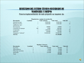 Maquinarias y equipos de producción
Descripción Cantidad Valor unitario Valor total Vida útil
Sistema de riego 1 4.000.000 4.000.000 5
Maquina (Termo-
calefacción, etc.)
1 5.000.000 5.000.000 10
Herramientas 1 100000 100000 5
Canastilla de empaque 100 9.000 900.000 5
Computador 1 1.000.000 1.000.000 10
Impresora 1 150.000 150.000 10
Transporte “vehículo” 1 30.000.000 30.000.000 5
TOTAL 41.150.000
Muebles Y Enseres
Descripción Cantidad Valor unitario Valor total Vida útil
Escritorio 1 100.000 100.000 10
Sillas plásticas 5 10.000 50.000 10
Sillas tipo escritorio 1 45.000 45.000 10
archivador 1 150.000 100.000 10
Total 295.000
 