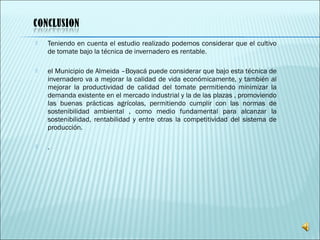  Teniendo en cuenta el estudio realizado podemos considerar que el cultivo
de tomate bajo la técnica de invernadero es rentable.
 
 el Municipio de Almeida –Boyacá puede considerar que bajo esta técnica de
invernadero va a mejorar la calidad de vida económicamente, y también al
mejorar la productividad de calidad del tomate permitiendo minimizar la
demanda existente en el mercado industrial y la de las plazas , promoviendo
las buenas prácticas agrícolas, permitiendo cumplir con las normas de
sostenibilidad ambiental , como medio fundamental para alcanzar la
sostenibilidad, rentabilidad y entre otras la competitividad del sistema de
producción.
 
 .
 