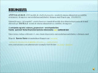 Trabajo final grupo 31