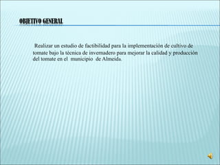 Realizar un estudio de factibilidad para la implementación de cultivo de
tomate bajo la técnica de invernadero para mejorar la calidad y producción
del tomate en el municipio de Almeida.
 