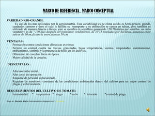 VARIEDAD RIO-GRANDE:
Es uno de los mas utilizados por la agroindustria. Esta variabilidad es de clima cálido es Semi-precoz, grande,
cuadrado, carnoso y duro el cual le facilita su transporte y su utilización se centra en salsas, pero también es
utilizado de manera directa o fresca, este se siembra en semillero generando 150 Plántulas por semillas, su ciclo
vegetativo es de “100 días después del trasplante, rendimiento, de 30ª35 toneladas por hectárea, distancia entre
surcos de 60cm,distancia entre plantas 50 cm
VENTAJAS :
 Protección contra condiciones climáticas extremas
 Permite un control contra las lluvias, granizadas, bajas temperaturas, vientos, tempestades, calentamiento,
enfriamiento, sombrío y la presencia de rocío en los cultivos.
 Obtención de cosechas fuera de época.
 Mejor calidad de la cosecha.
DESVENTAJAS :
 Alta inversión inicial.
 Alto costo de operación
 Requiere de personal especializado.
 Requiere de monitoreo constante de las condiciones ambientales dentro del cultivo para un mejor control de
plagas y enfermedades.
REQUERIMIENTOS DEL CULTIVO DE TOMATE:
 luminosidad * temperatura * riego *suelo * tutorado *control de plaga.
Blogs de : Barreto Mario tiotomateadmon.blogspot.com/ - En caché,
 