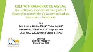 CULTIVO HIDROPÓNICO DE ARVEJA:
Una solución socioeconómica para el
desarrollo sostenible de la comunidad de
Santa Ana - Honduras
Por:
PABLO EMILIO PADILLA SOLANO Código: 8645170
YURI TARCICIO TUÑON PADILLA Código: 8565078
JUAN DIEGO DURANGO SOLIS Código: 8434750
GRUPO 25
DISEÑO DE PROYECTOS
Diciembre de 2013

 