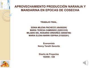 APROVECHAMIENTO PRODUCCIÓN NARANJA Y
MANDARINA EN EPOCAS DE COSECHA

TRABAJO FINAL.
SONIA MILENA PACHECO (46456204)
MARIA TERESA CAMBINDO (52851235)
MILADIS DEL ROSARIO ORDOÑEZ (50948790)
MARIA ELENA MARIN OSPINA (51820281)

Economista
Nancy Yaneth Garavito

Diseño de Proyectos
102058 - 538

 
