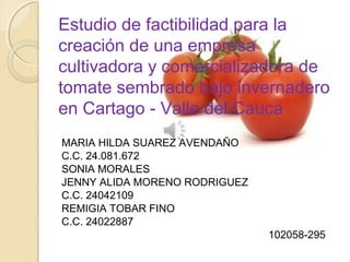 Estudio de factibilidad para la
creación de una empresa
cultivadora y comercializadora de
tomate sembrado bajo invernadero
en Cartago - Valle del Cauca
MARIA HILDA SUAREZ AVENDAÑO
C.C. 24.081.672
SONIA MORALES
JENNY ALIDA MORENO RODRIGUEZ
C.C. 24042109
REMIGIA TOBAR FINO
C.C. 24022887
102058-295
 