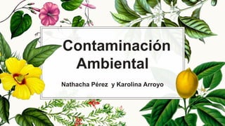 Contaminación
Ambiental
Nathacha Pérez y Karolina Arroyo
 