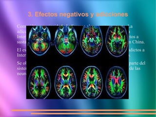 3. Efectos negativos y adicciones
Como última curiosidad añadiremos algo mas importante: La
adicción a Internet cambia el cerebro,Las personas adictas a
Internet muestran cambios en el cerebro similares a los adictos a
sustancias como drogas o alcohol, afirman investigadores en China.
El estudio llevó a cabo escáneres cerebrales en 17 jóvenes adictos a
Internet y encontró trastornos en las conexiones del cerebro.
Se observaron cambios en la materia blanca del cerebro, la parte del
sistema nervioso central que contiene los axones, las fibras de las
neuronas encargadas de conducir las señales nerviosas.
 