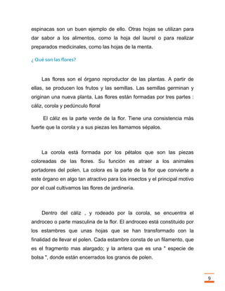 Trabajo final la fotosintesis