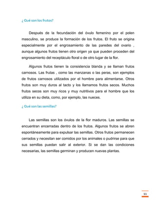 Trabajo final la fotosintesis