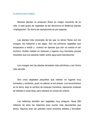 Trabajo final la fotosintesis