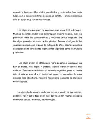 Trabajo final la fotosintesis