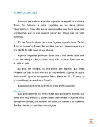 Trabajo final la fotosintesis