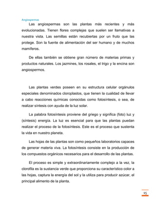 Trabajo final la fotosintesis