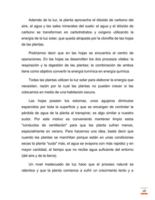 Trabajo final la fotosintesis