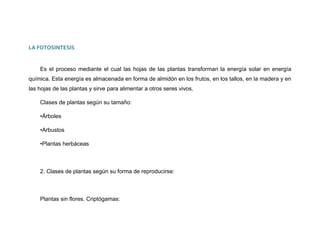 Trabajo final la fotosintesis