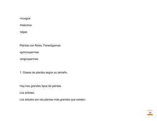 Trabajo final la fotosintesis