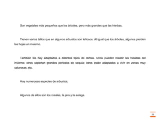 Trabajo final la fotosintesis