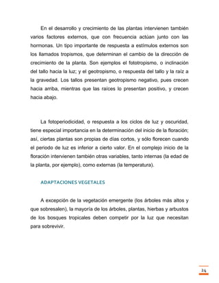 Trabajo final la fotosintesis