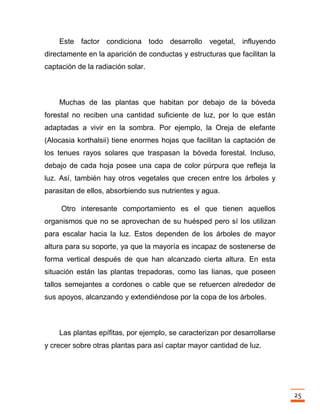 Trabajo final la fotosintesis