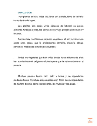 Trabajo final la fotosintesis