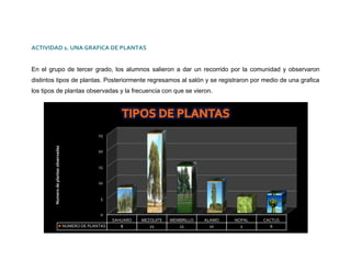 Trabajo final la fotosintesis