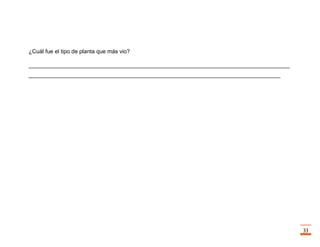 Trabajo final la fotosintesis