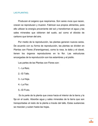 Trabajo final la fotosintesis